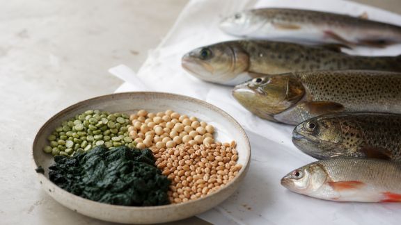 Démystifier les aliments végétaux : quels avantages pour quels poissons ?