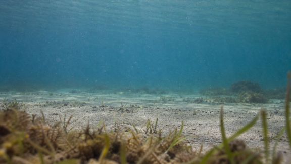 Créer un effet de profondeur réaliste grâce aux jeux de perspectives sous l’eau