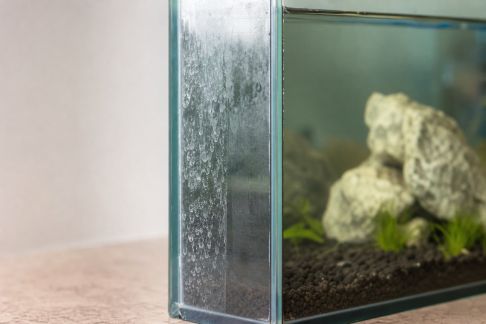 Comparatif des méthodes pour éliminer les dépôts calcaires dans l’aquarium
