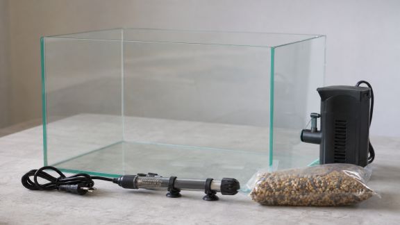 Top 7 des erreurs fréquentes lors du choix du matériel d’aquariophilie