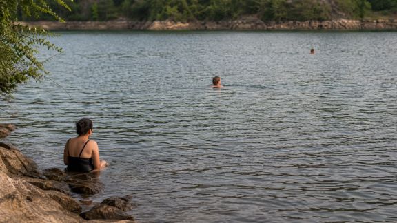 Découvrir les différentes zones de nage pour une cohabitation harmonieuse