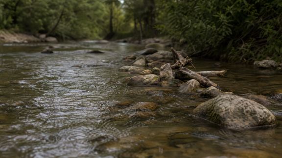 Paysage de rivière : astuces pour simuler le courant avec le placement des éléments