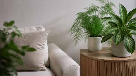 Le choix des couleurs : harmoniser plantes et décors pour un rendu naturel