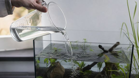 Les 5 erreurs fréquentes lors du changement d’eau et leurs solutions concrètes
