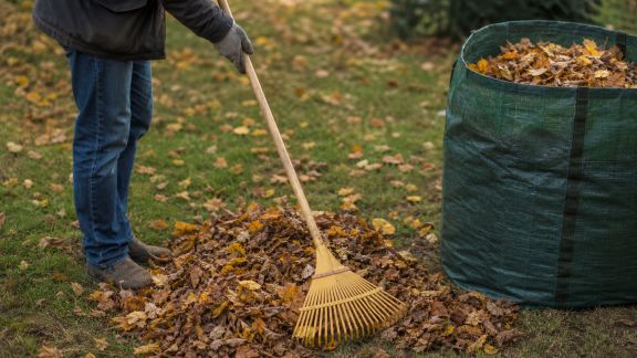 Utiliser les bons outils pour retirer les feuilles mortes efficacement
