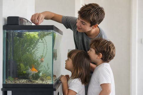 Aquarium familial : comment impliquer enfants et adolescents facilement