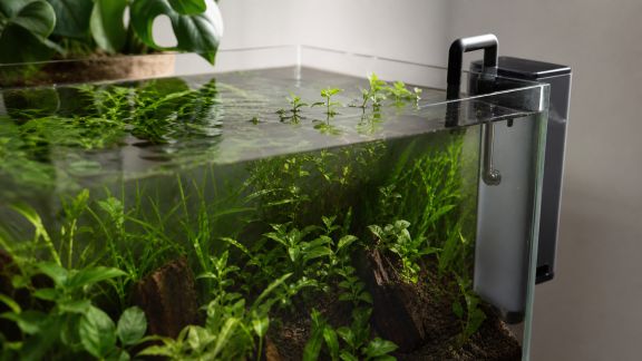 Comment bien dimensionner la filtration pour un bac planté dynamique
