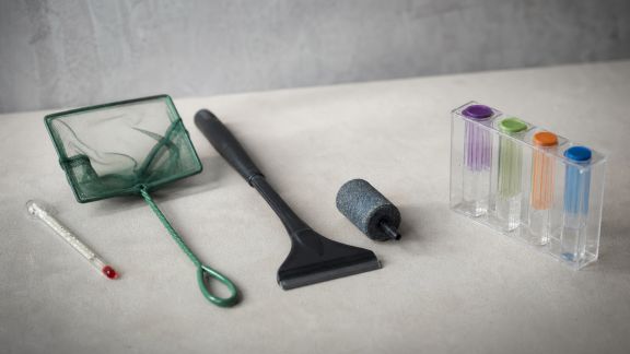 Cinq accessoires utiles mais souvent oubliés par les nouveaux aquariophiles
