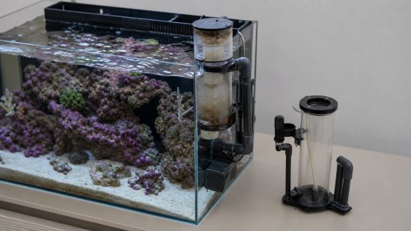 Faut-il un écumeur pour tous les volumes d’eau de mer ? Avantages et limites