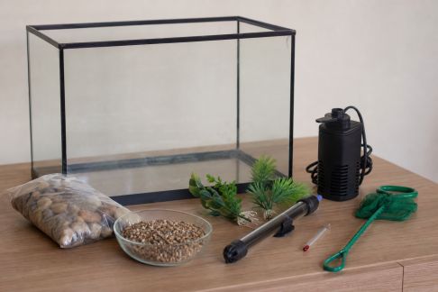 Liste du matériel indispensable avant d’accueillir ses premiers poissons