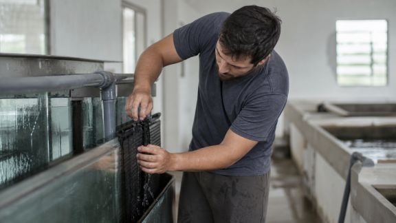 Le rôle clé d’une bonne maintenance dans la prévention des maladies aquatiques