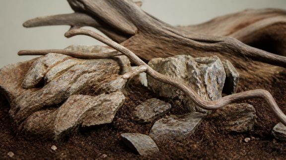 Palette de textures : mixer roches, branches et substrats pour un rendu authentique
