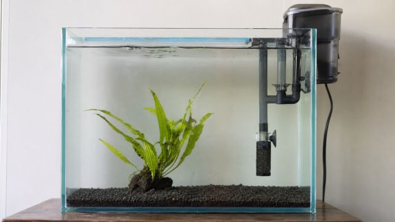 Comprendre l’intérêt d’un préfiltre pour préserver son aquarium