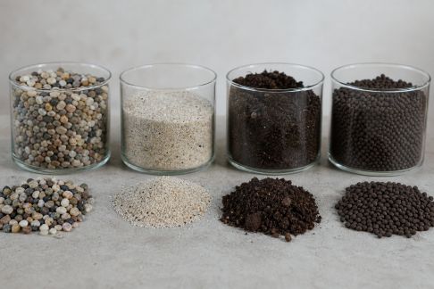 Comparatif des substrats adaptés aux plantes d’eau douce courantes