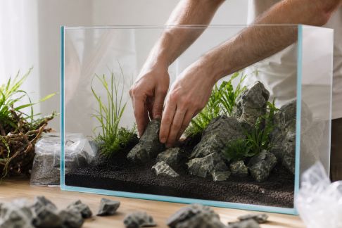 Guide pas à pas pour installer un aquarium d’eau douce sans stress
