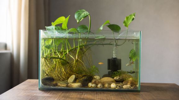 Peut-on filtrer sans pompe électrique ? Alternatives et limites